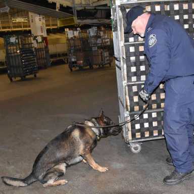 JFK CBP implements Opiods STOP ACT