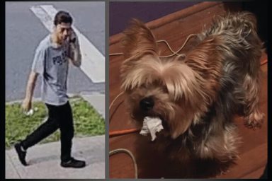 The Yorkshire Terrier shown at right, named Jeter, was allegedly stolen by the man shown at left.