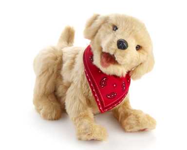 Puppy_12 (6)