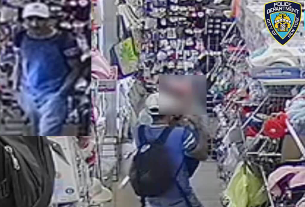 The suspect who accosted a senior woman and stole her purse inside a Forest Hills store on Aug. 10.