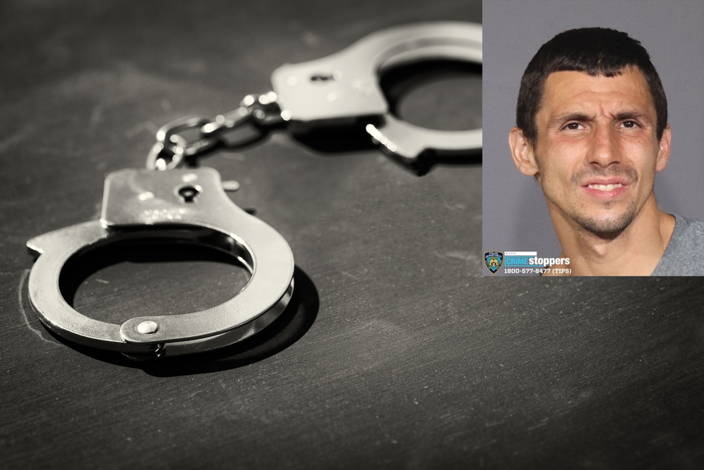 mark tortora arrested