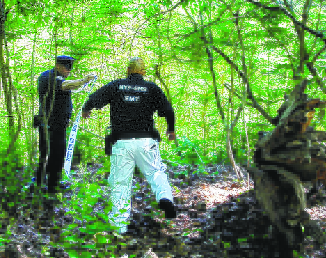 Detectives combed Alley Pond Park in May 2017 after a birdwatcher found a decomposing teenager's body.
