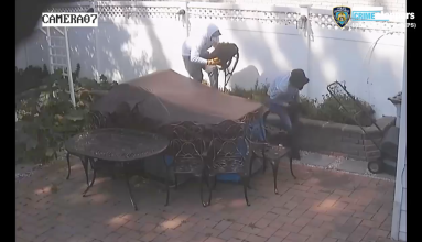 Screen Shot 2019-09-26 at 3.31.52 PM