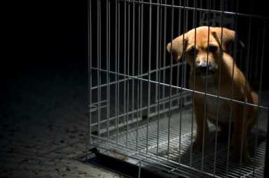 Please Free Me!