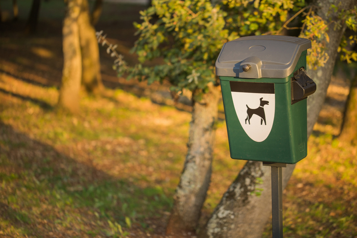 Green Dog Waste bin in a public park