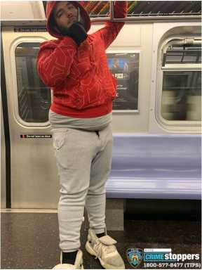 358-20 QTRS 112 Pct Public Lewd.