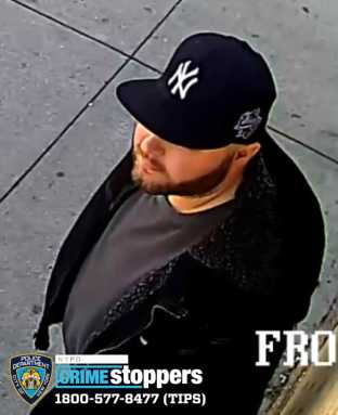 387-20 Grand Larceny 104 Pct 11-26-19 PHOTO1