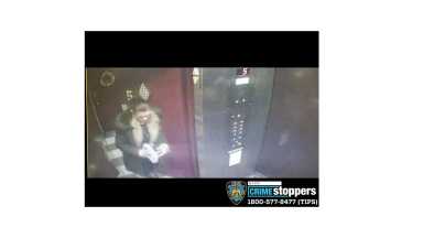 389-20 Burglary 108 Pct 12-19-19 Photo 2
