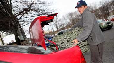 mulchfest
