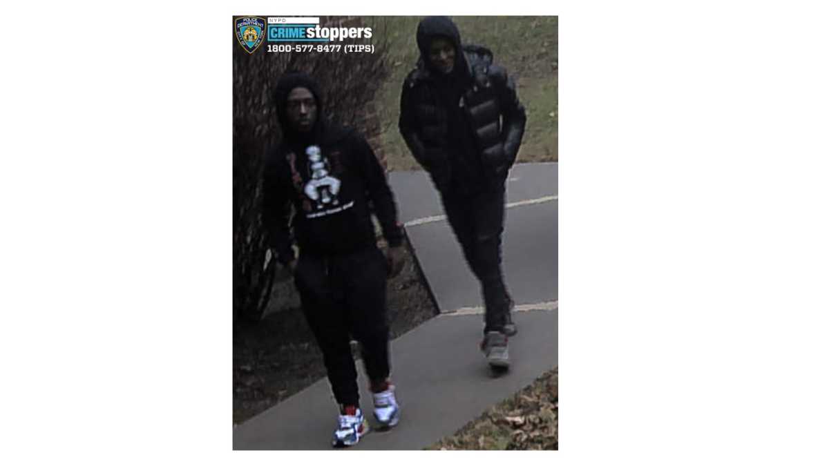 465-20 Robbery Pattern 107 Pct Photo 2
