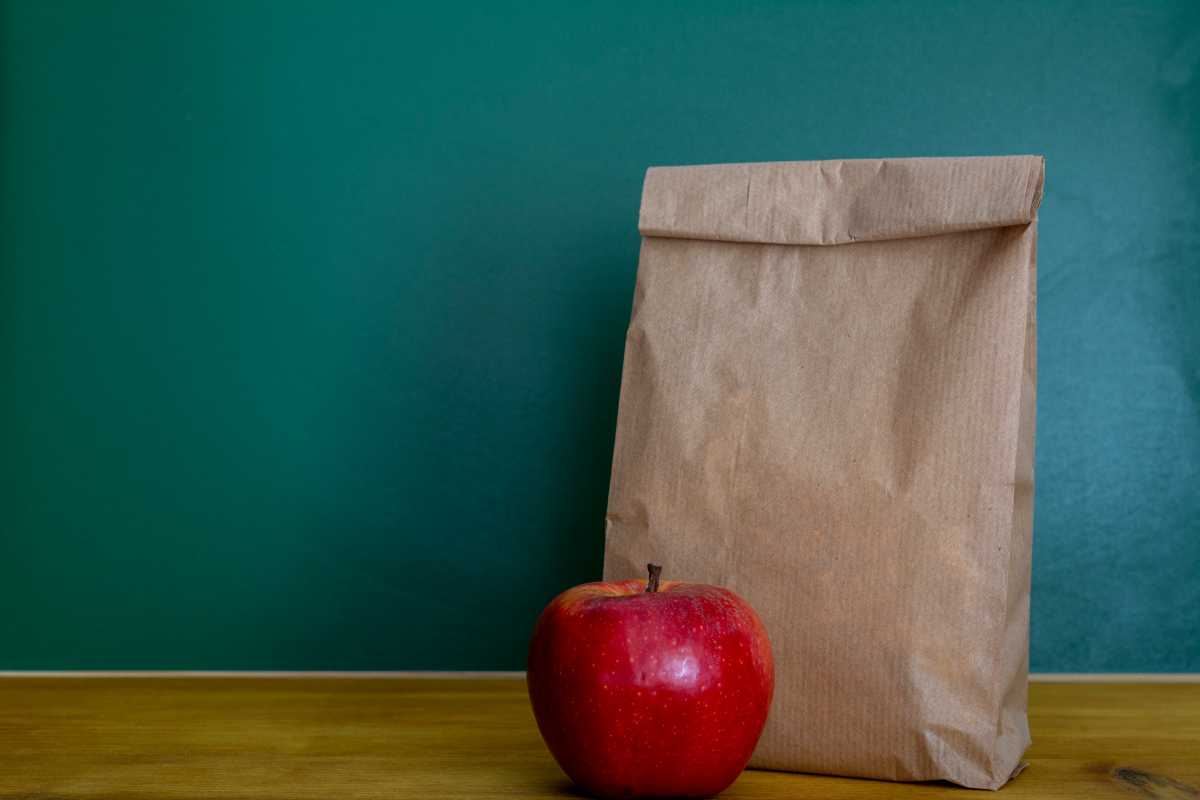 School lunch. Brown paper bag and a red apple on top of wooden desk