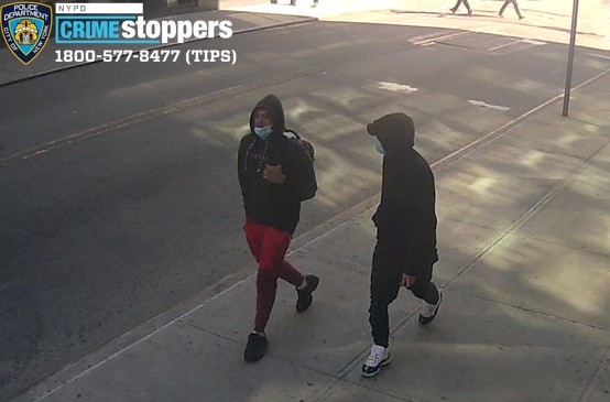 1316-20 Robbery 109 Pct 03-21-20 Photo 1