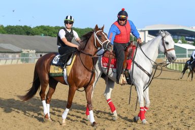 2019-06-07T135724Z_1595463516_NOCID_RTRMADP_3_HORSE-RACING-BELMONT-STAKES-WORKOUTS-1536×1024