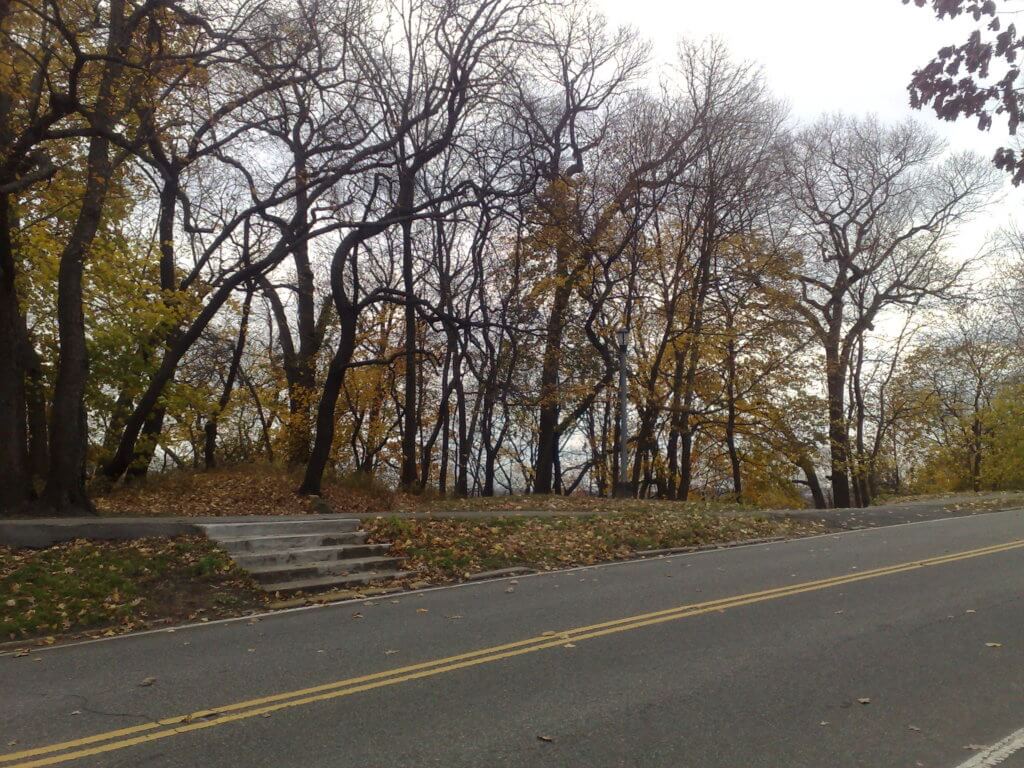 Forest Park is among three locations in Queens that will be part of the city's open streets initiative.