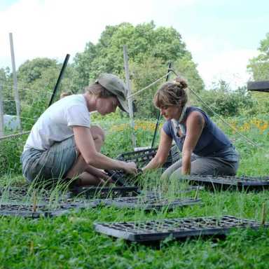 Photos: Down on the farm, Queens-style