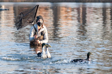 Screen Shot 2020-12-11 at 4.36.27 PM