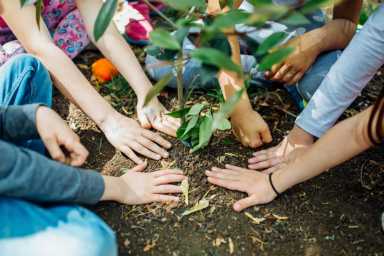 Earth Day, planting the trees