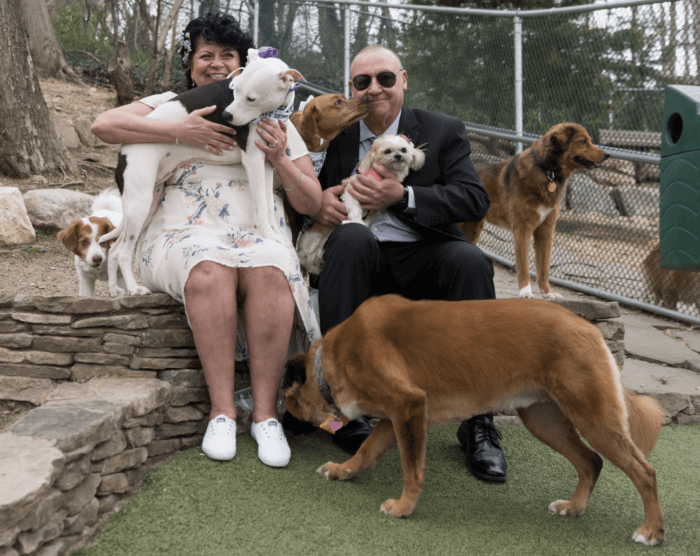 Newlyweds celebrate their ‘puptials’ with their fur babies at Glen Oaks