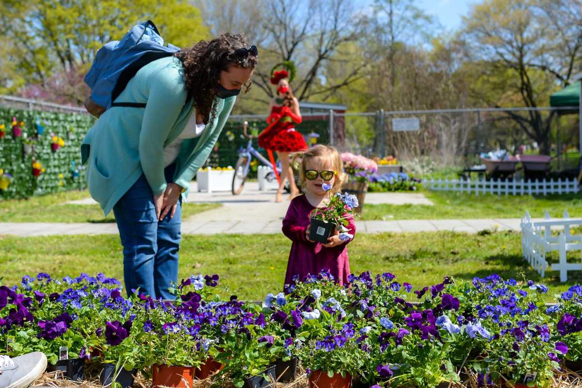 2021.04.18_Flower-Patch_CREDIT-Eryn-Hatzithomas_18