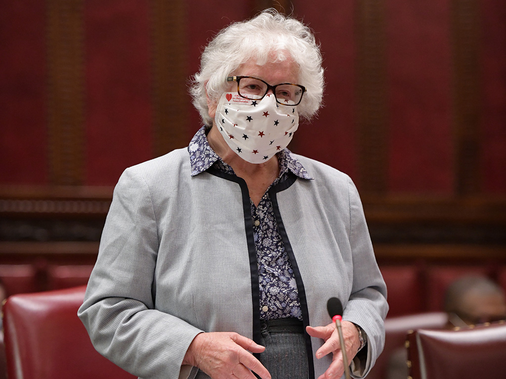 Stavisky Senate Floor 2