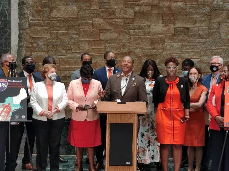 sanders gun law albany
