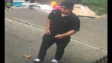 1952-21 Robbery 115 Pct 07-25-21 Updated Photo #3