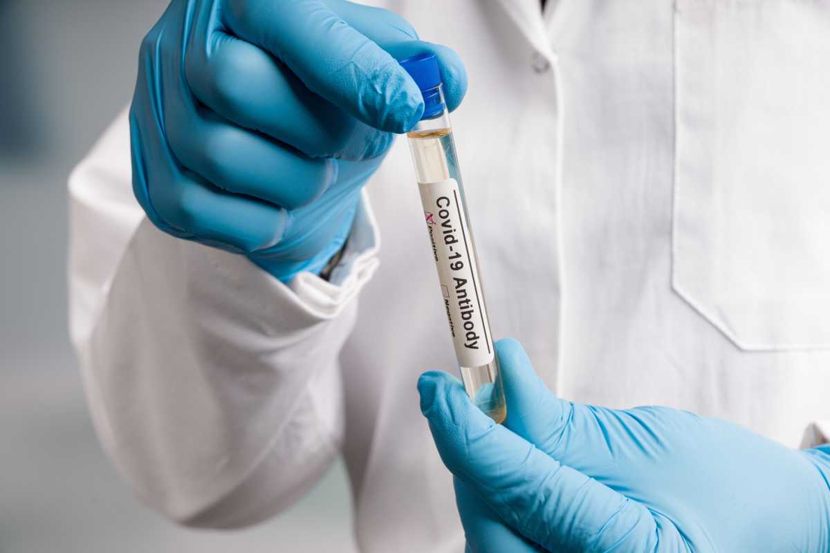 close up of hands in blue gloves handling antibody test tubes after virus analysis with result markers in a medical lab