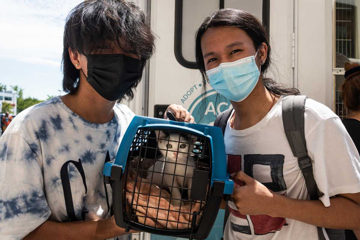 ACC brings back mobile pet adoption event