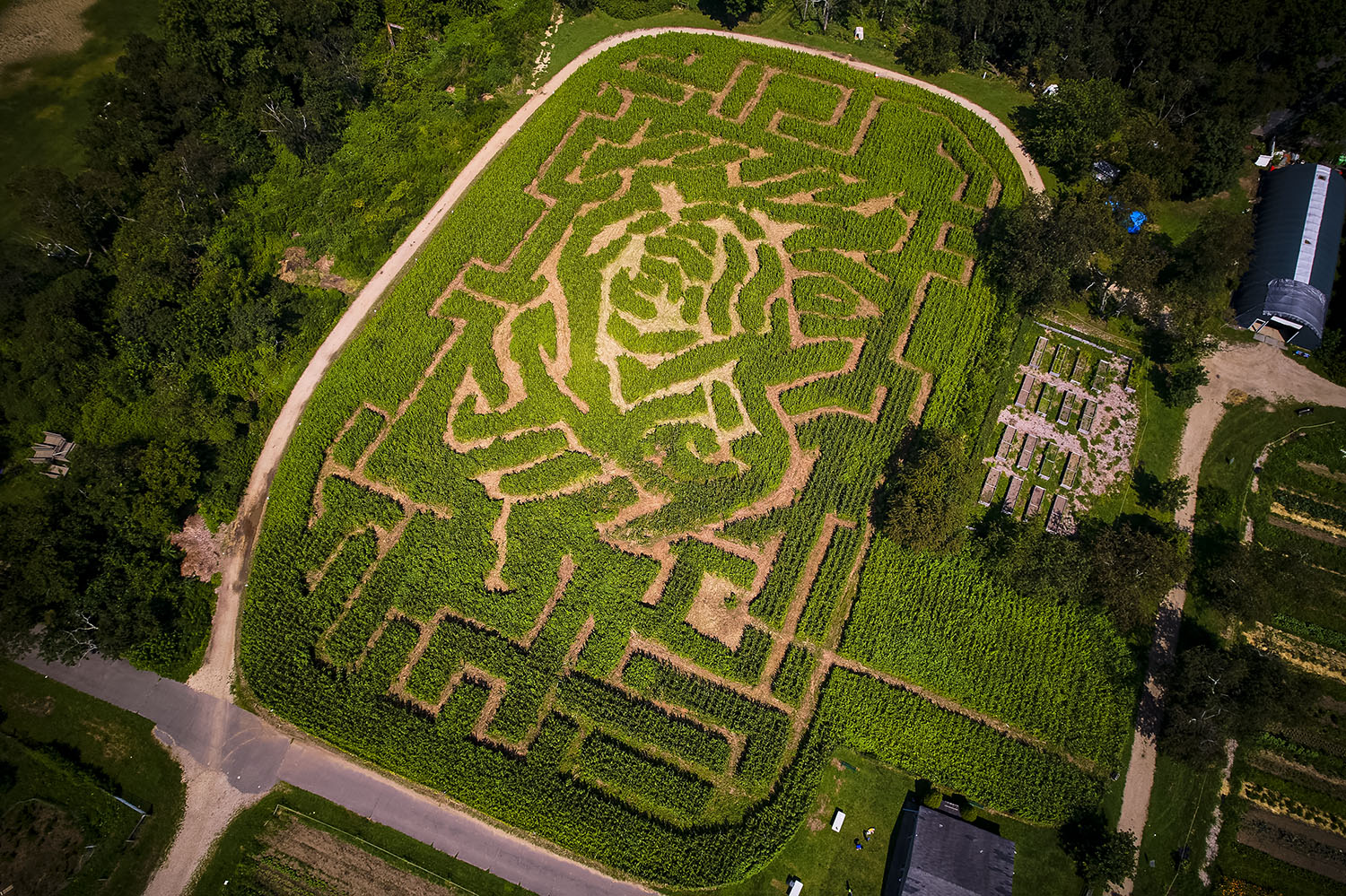 QNS Weekender 28 things to do in Queens QNS