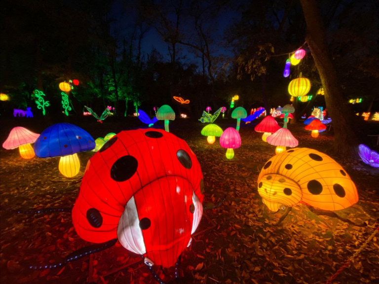 Seasonal lantern festival to light up Queens Farm starting on ...