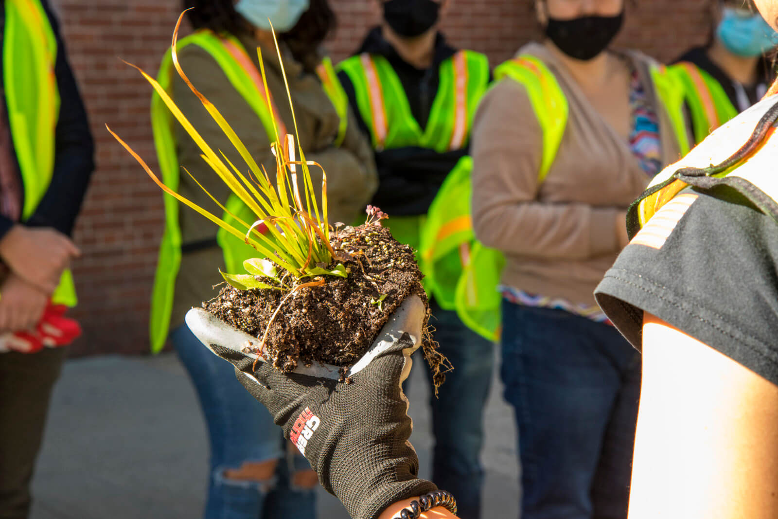 Elmhurst volunteers help clean up community’s rain gardens