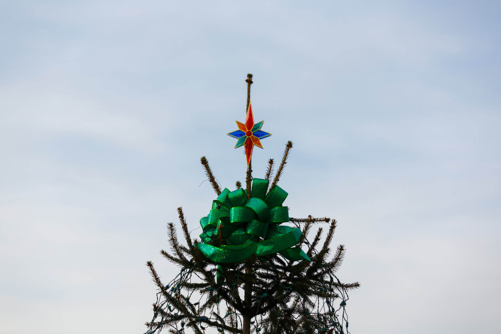 PHOTOS Community celebrates Astoria Park holiday festival and tree