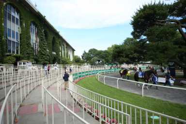 2020-06-20T225226Z_845260763_NOCID_RTRMADP_3_HORSE-RACING-152ND-BELMONT-STAKES-1200×800