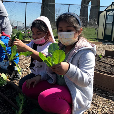 Urban Farm Tour RESIZED