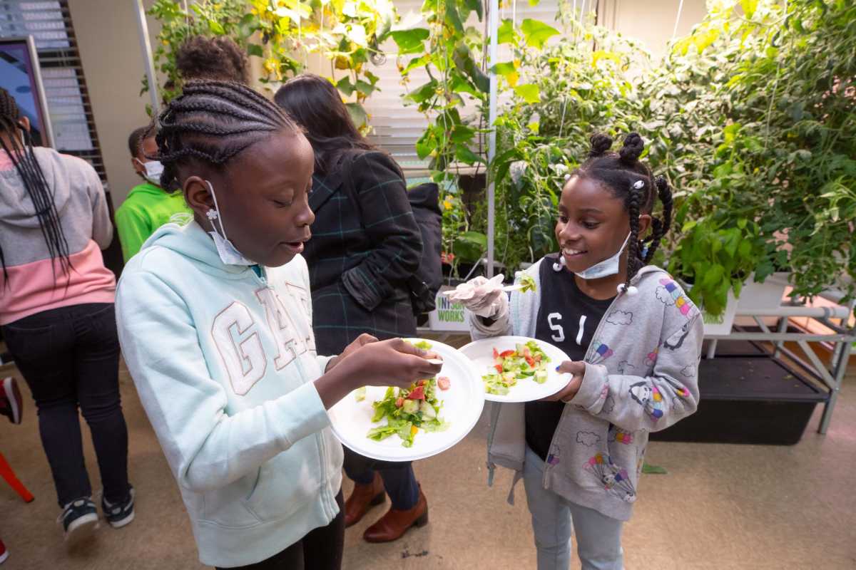 NYCHA greenhouse