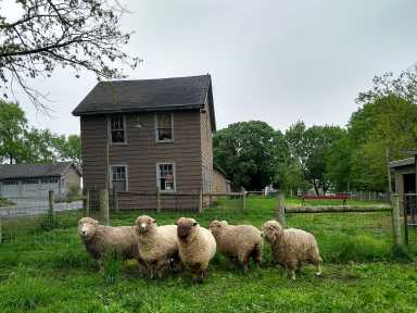 Queens Farm