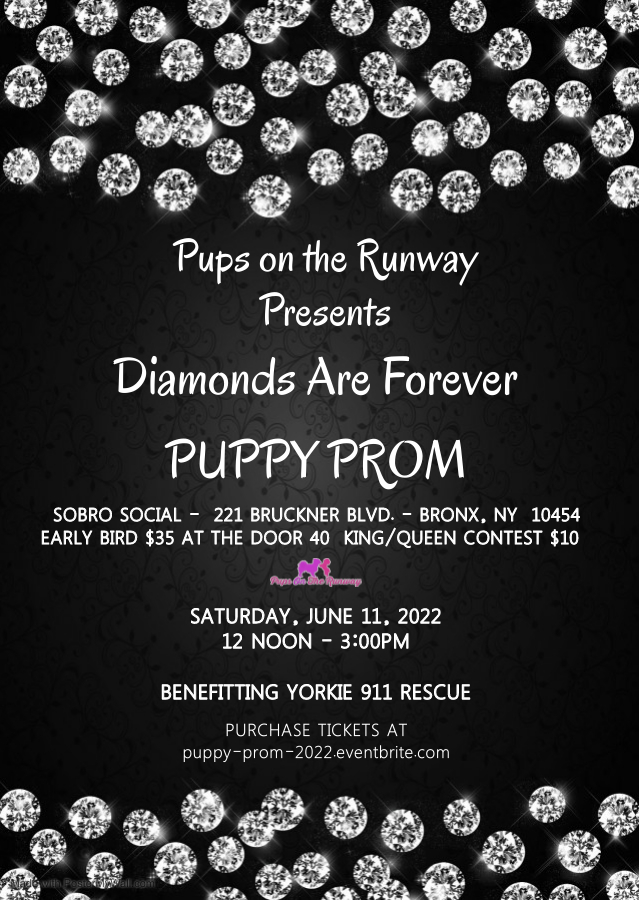 Puppy Prom flyer