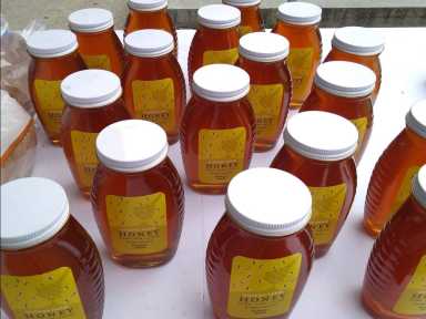 Milk and Honey Month