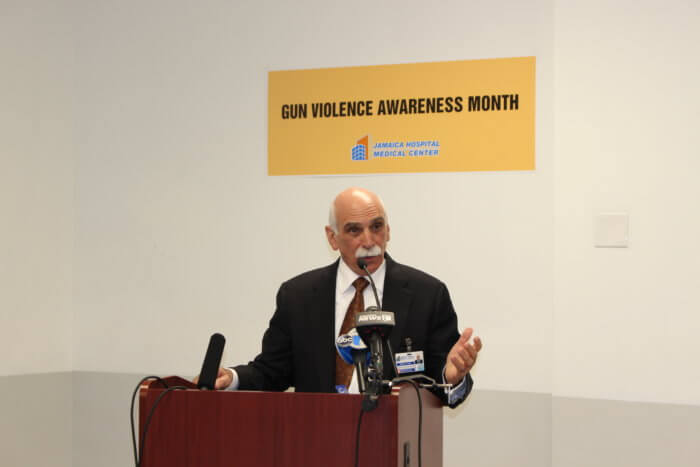 Jamaica Hospital curb gun violence