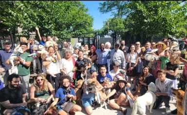 Jackson Heights dog run at Travers Park