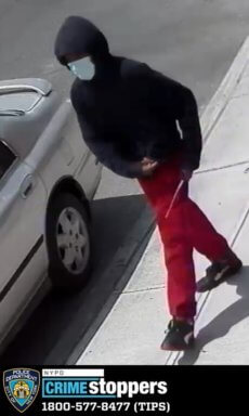 Ozone Park attempted robbery of a senior