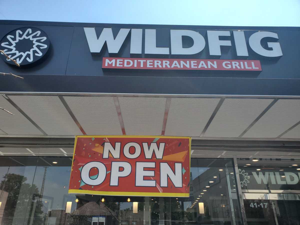 Wild Fig