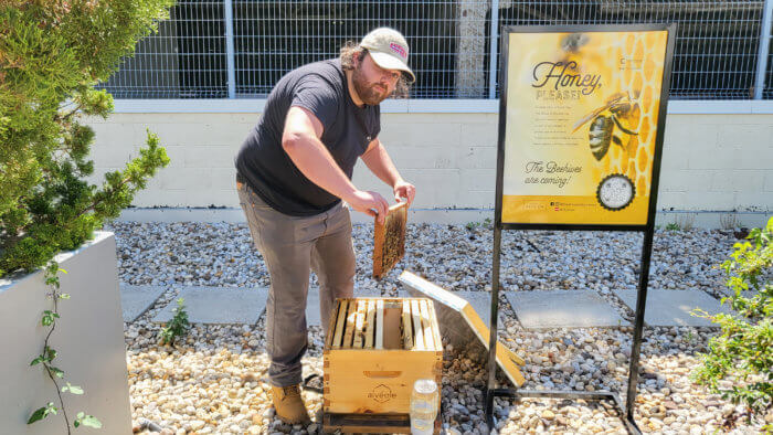 Flushing Skyview Center beehives