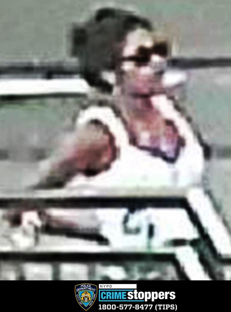 South Ozone Park robbery with gun