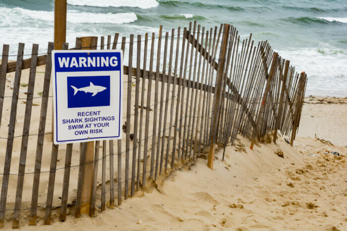 shark sighting at Rockaway Beach