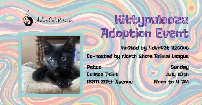 KittyPalooza will take place at Petco in College Point