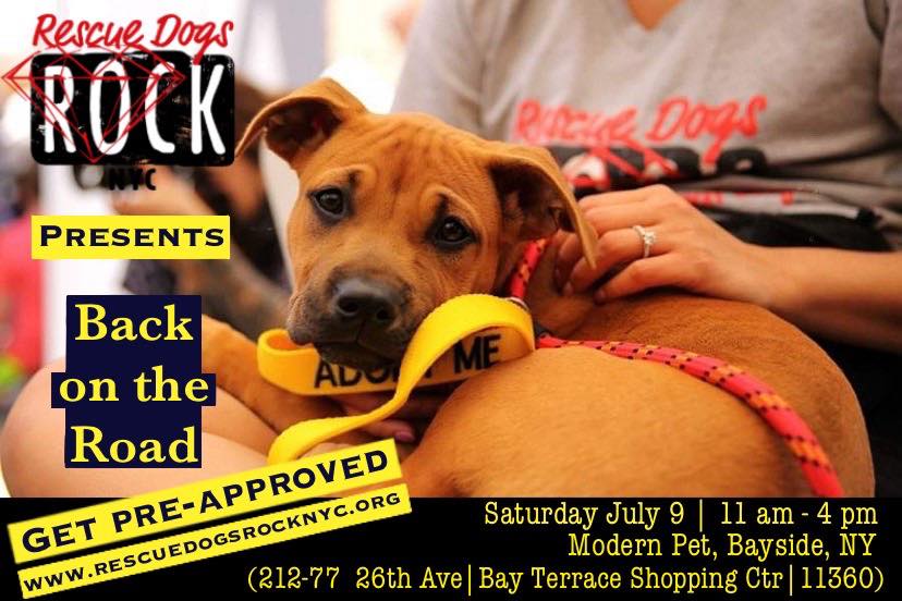 Rescue Dogs Rock NYC adoption event in Bayside