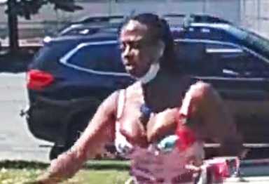 Queens Village attempted robbery