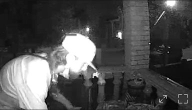 Middle Village package thief