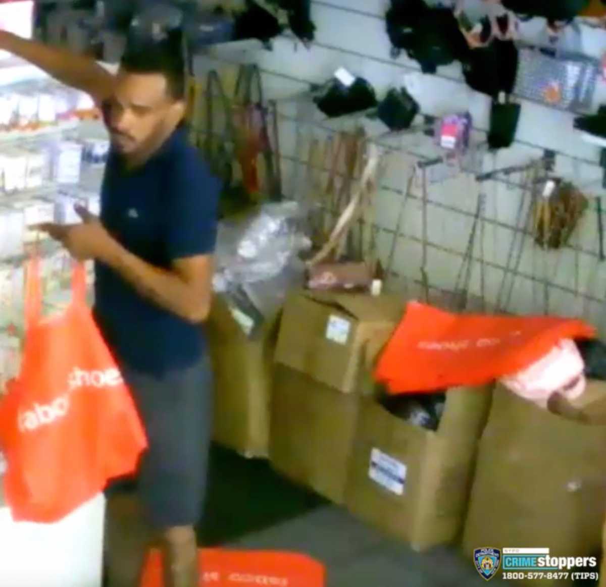 ridgewood burglar